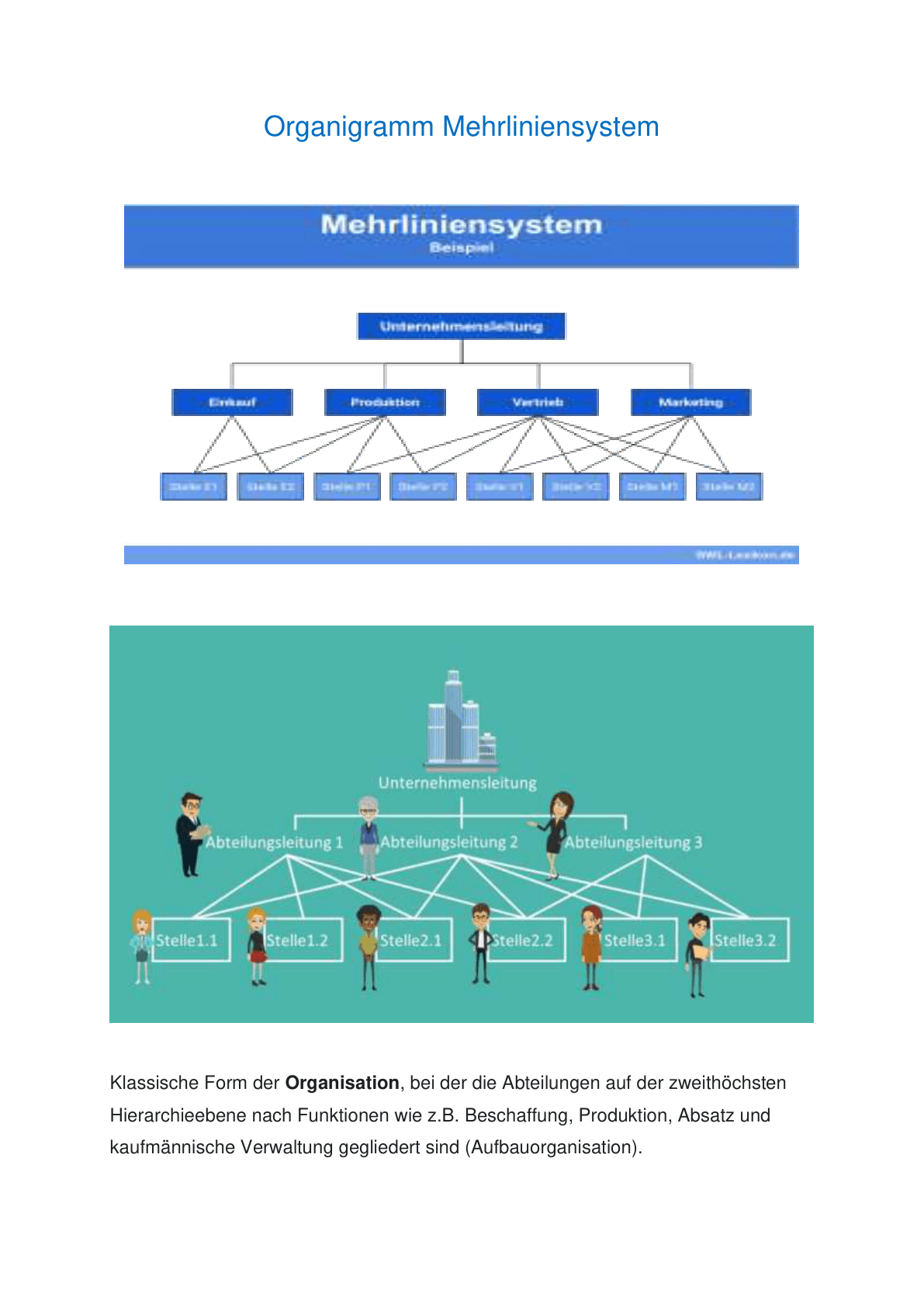 mehrliniensystem_organigramm
