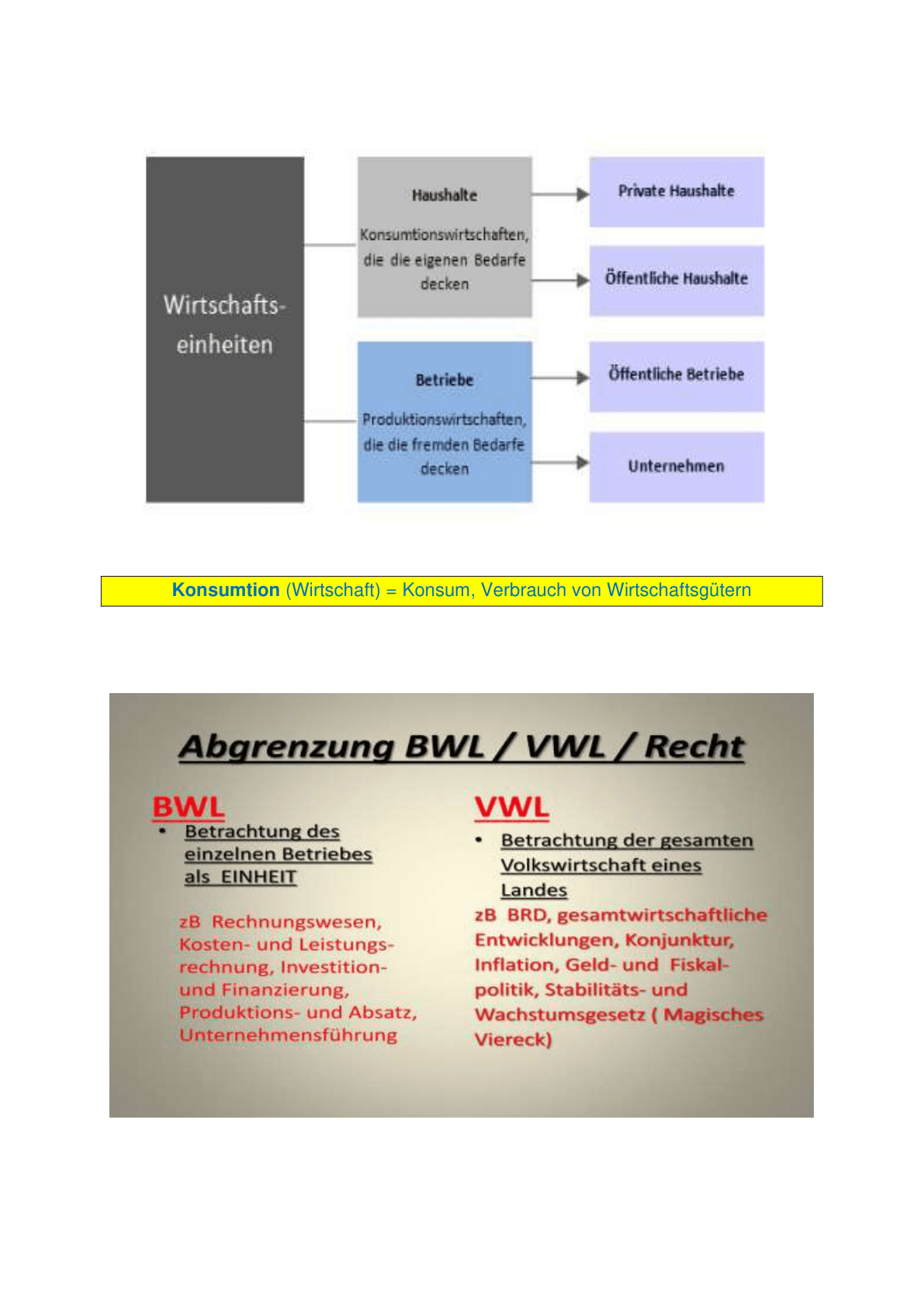 wirtschaftseinheiten_vwl_bwl